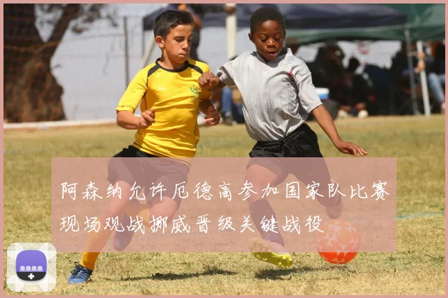 阿森纳允许厄德高参加国家队比赛现场观战挪威晋级关键战役