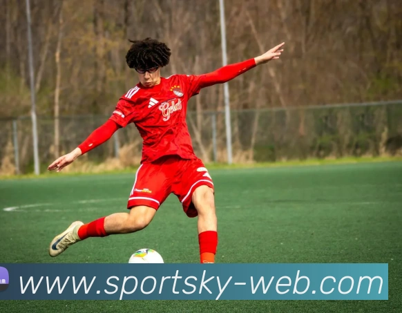 开元棋牌平台生态图